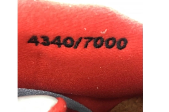 BLUE AIR CI1899-400 TROPHY X 5 ROOM JORDAN CI1899-400 JSP ICE 0406